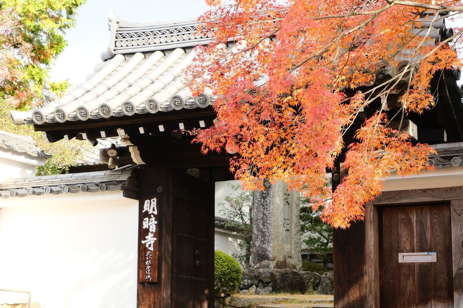 Orange autumn maple leaves over the tiled gate of Myoan-ji temple
